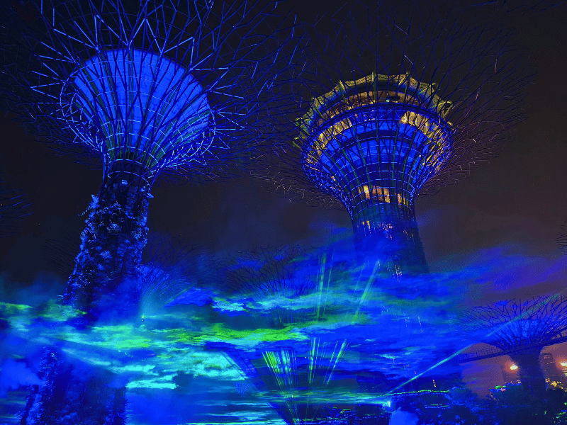 Supertrees in SIngapur bei der Lichtshow