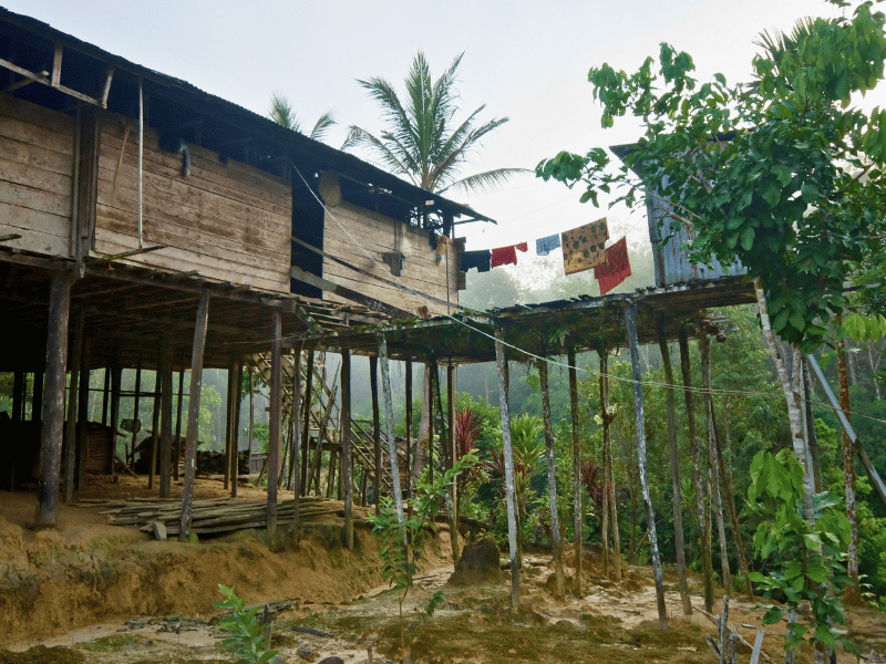 Traditionelles Langhaus auf Borneo