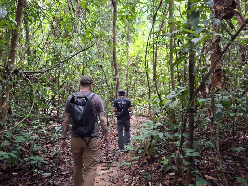 Touristen beim Trekking im Taman Negara Nationalpark