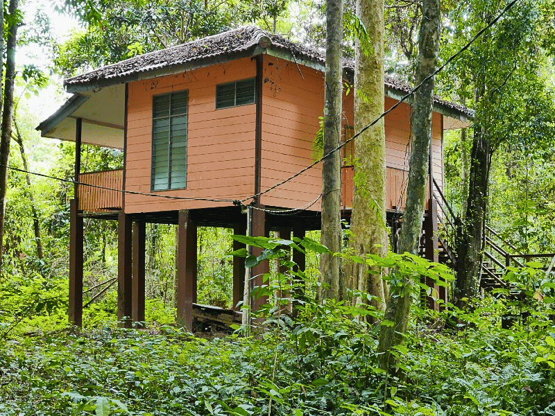 Bungalow in der Dschungel-Lodge im Ulu Muda, Malaysia