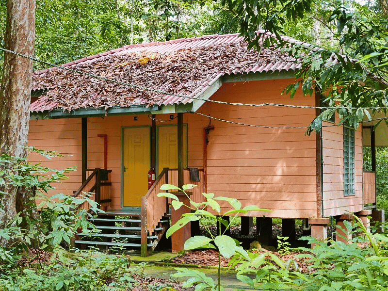 Bungalow in der Dschungel-Lodge im Ulu Muda, Malaysia