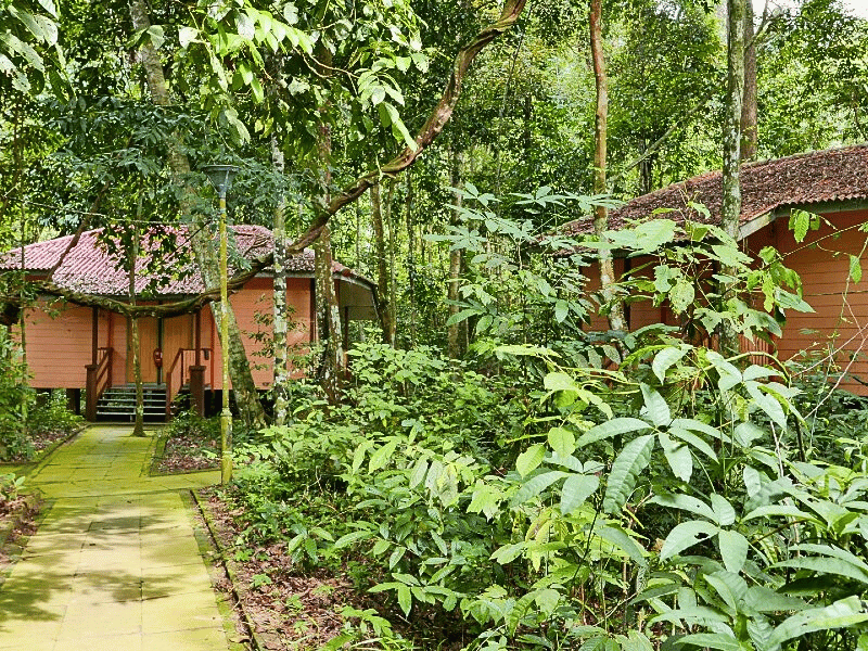 Bungalow in der Dschungel-Lodge im Ulu Muda, Malaysia