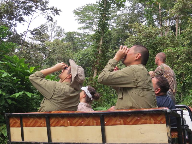 Gruppe beobachtet Wildlife durch Fernglas bei Safari im Deramakot Forest Reserve auf Borneo