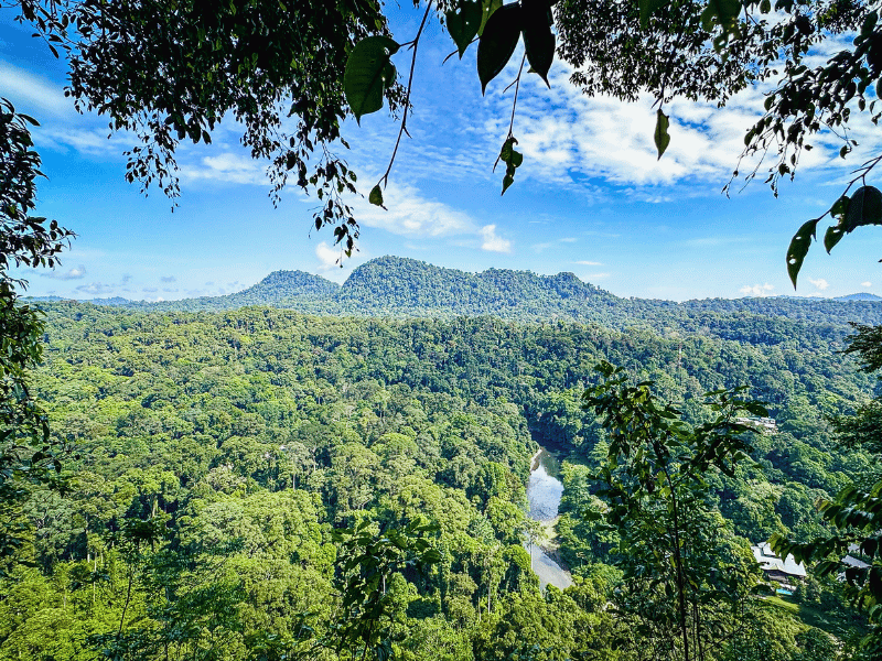 Aussicht im Danum Valley in Malaysia