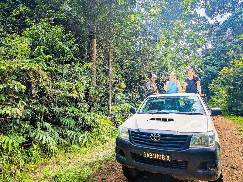 Jeep im Regenwald im Tabin in Malaysia