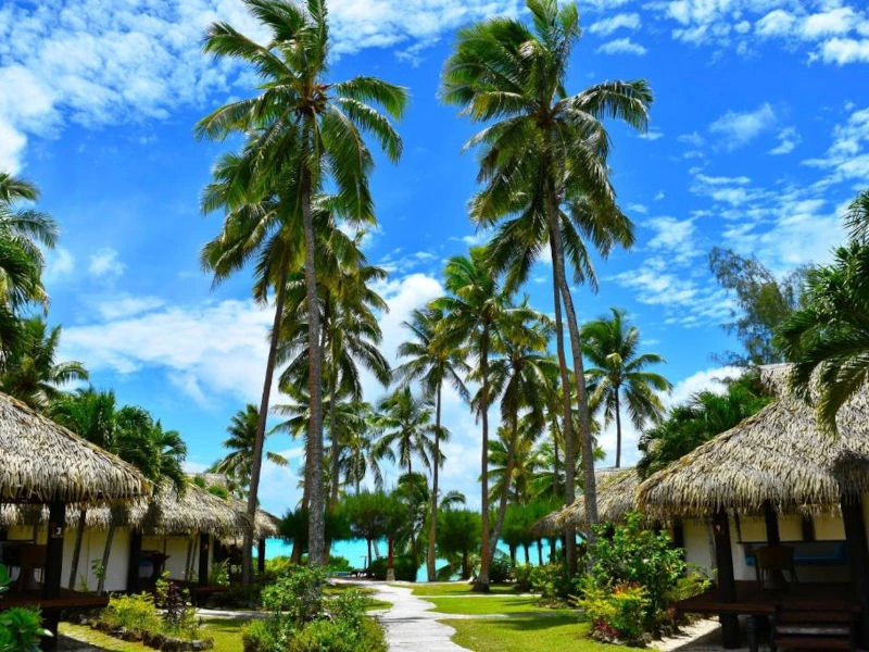 Bungalow-Unterkünfte von Palmen gesäumt auf den Cook Inseln