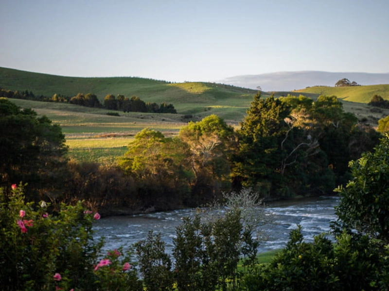 Fluss direkt neben der Unterkunft in Paihia, Neuseeland