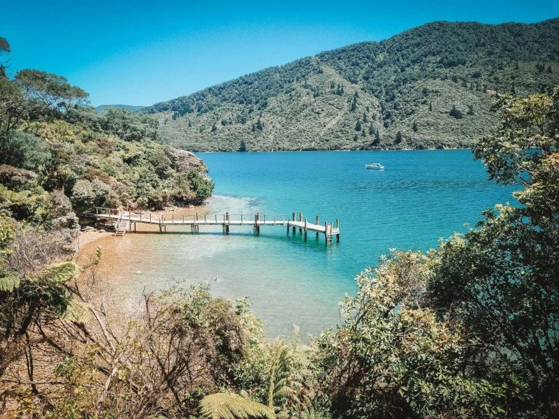 Traumhafter Strand in den Marlborough Sounds in Neuseeland