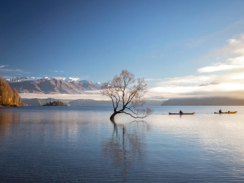 Ikonischer Wanaka Baum im See, ruhiger Ort auf einer Neuseeland Reise