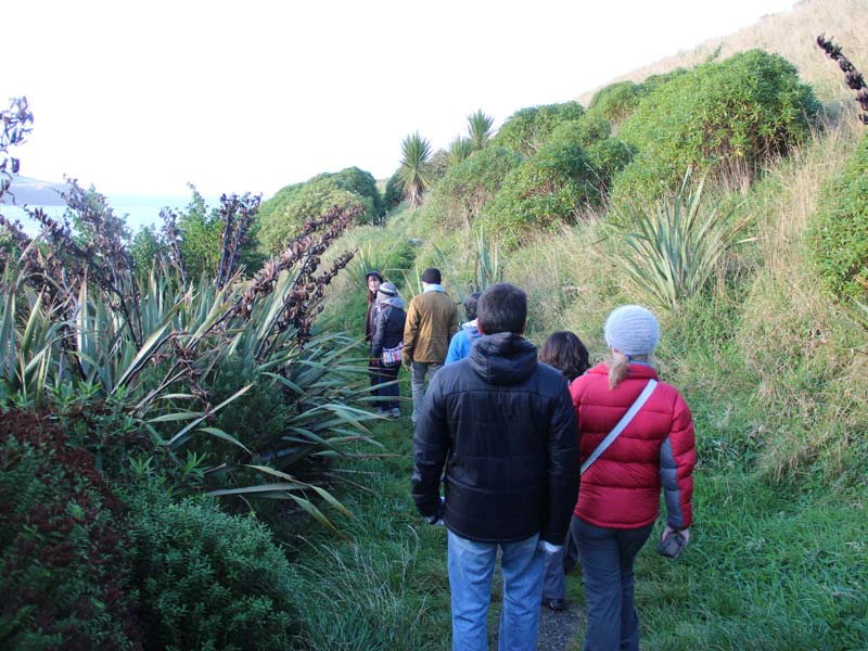 Gruppe bei einer Wanderung durch die Catlins in Neuseeland