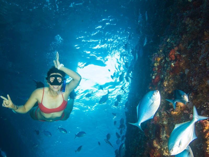 Frau taucht zwischen Fischen bei der Poor Knight Island in Neuseeland.