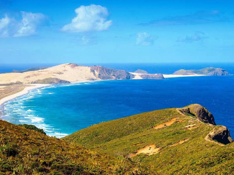 Blick auf die Spitze der Golden Bay in Neuseeland