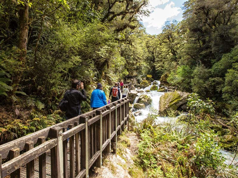 Wanderer stehen auf einem Steg an einem Wasserfall am Milford Sound in Neuseeland.