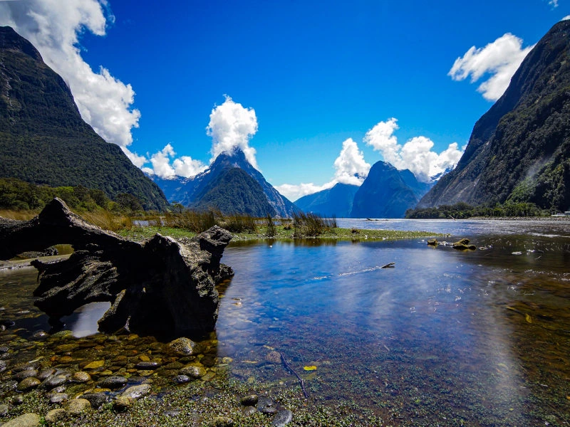 Fjordlandschaft am Milford Sound unter blauem Himmel in Neuseeland