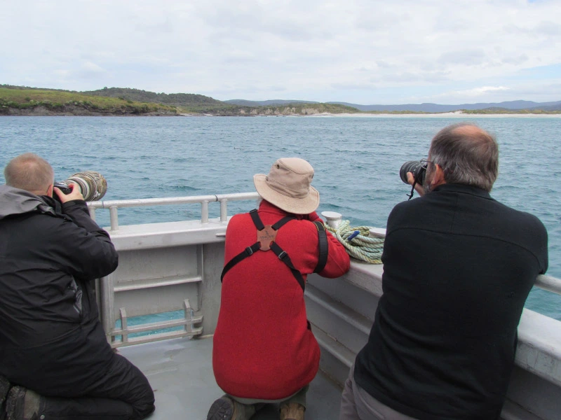 Personen mit großen Kameras machen Fotos von einem Schiff aus auf Ulva bei Stewart Island in Neuseeland.