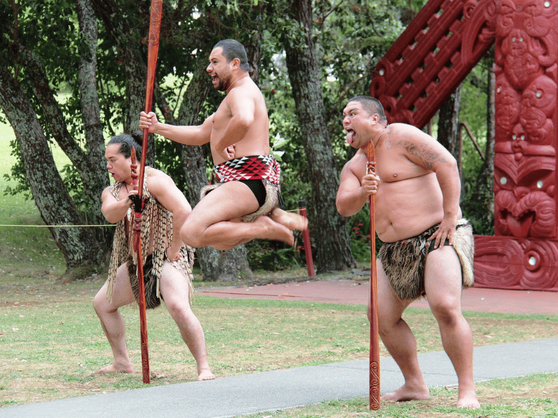 Maori beim Haka Tanz mit Stöcken in Neuseeland