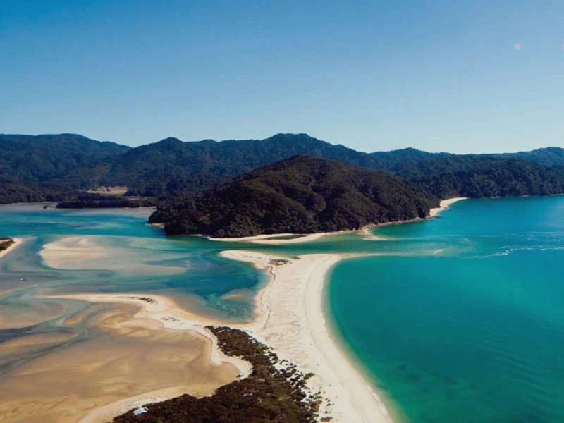 abel tasman