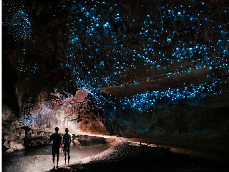 Personen stehen in einer Glühwürmchenhöhle in Waitomo, Neuseeland.
