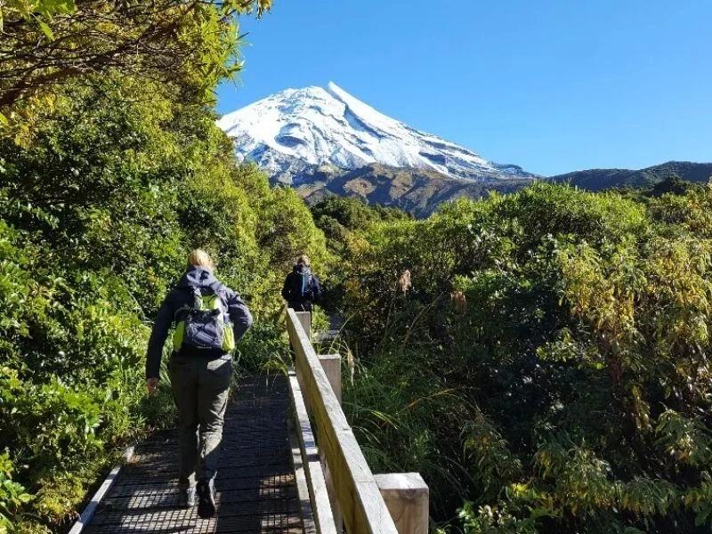 taranaki falls