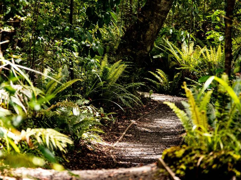 hike stewart island
