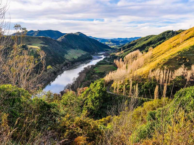 Whanganui River umgeben von einer hügeligen Landschaft in Neuseeland