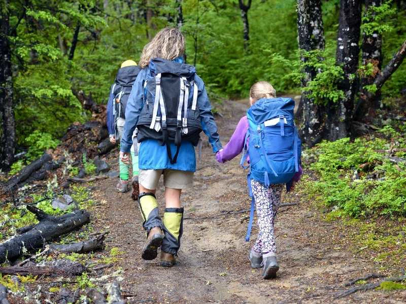 Familie wandert mit Rucksäcken durch den Wald in Neuseeland.