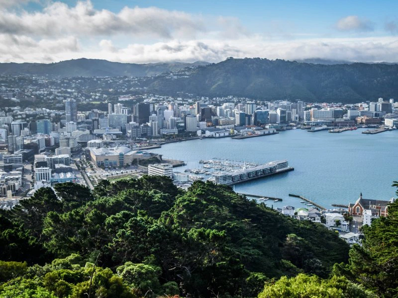 3 Weken Nieuw-Zeeland