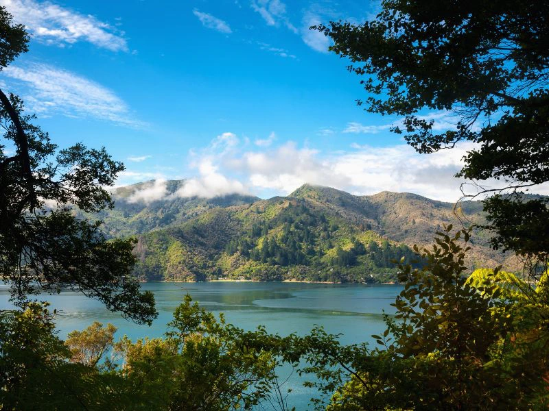 Queen Charlotte Marlborough Sounds