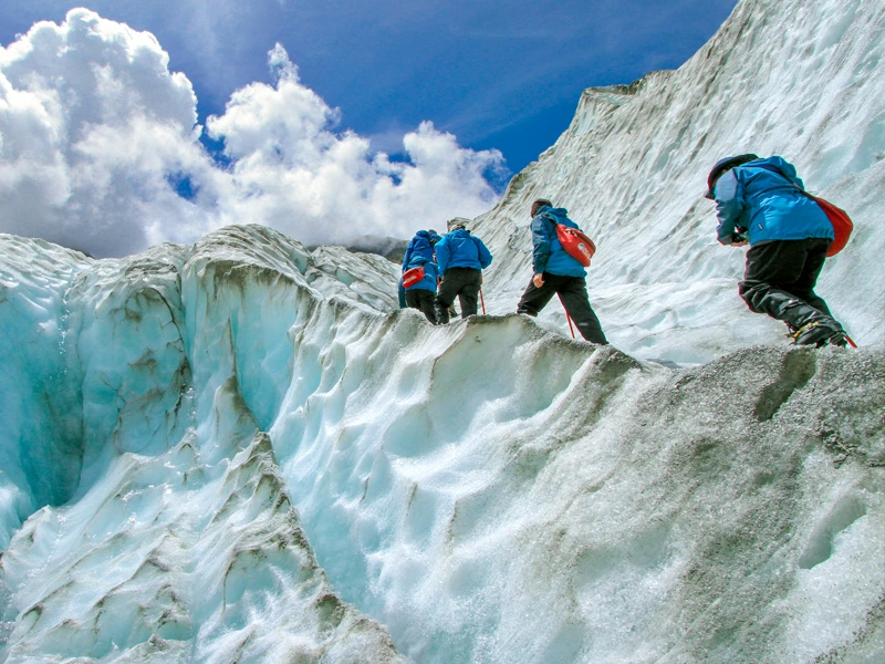 Wanderer auf dem Franz-Josef-Gletscher