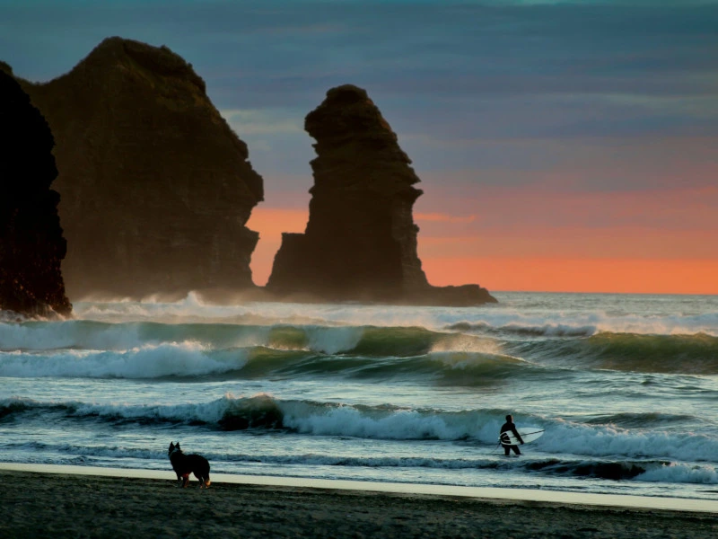 piha beach in neuseeland