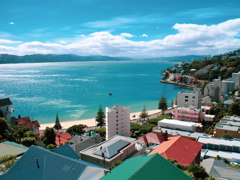 Ausblick auf die oriental Bay in Wellington