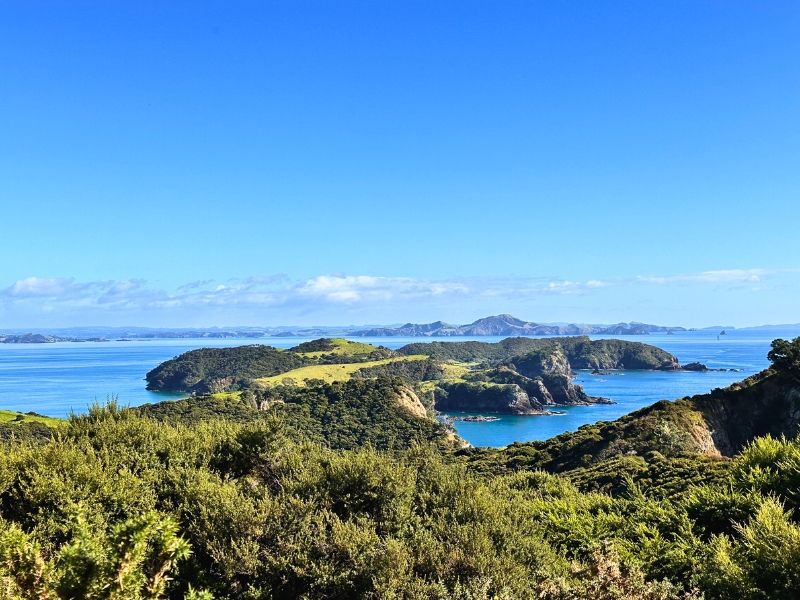 Bay of Islands Aussicht