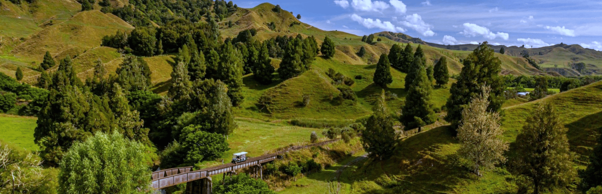 Neuseeland-Berge-Landschaft
