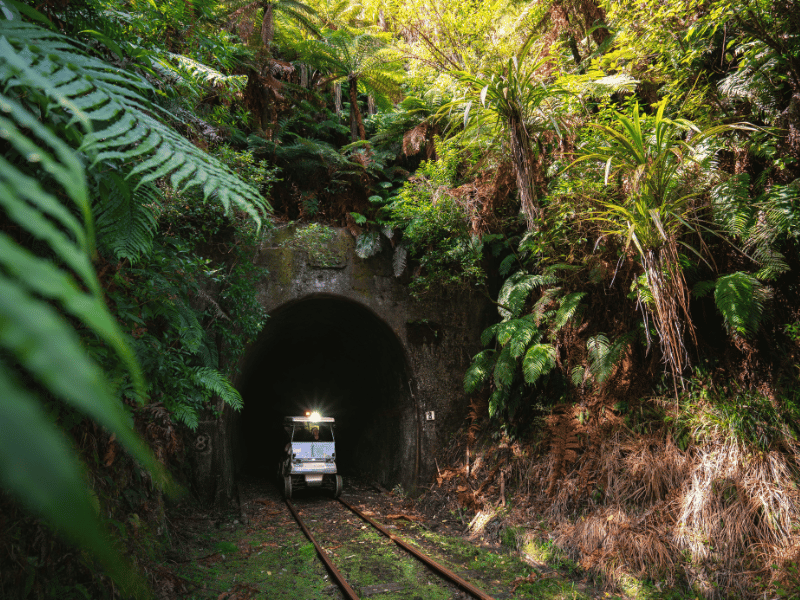 Neuseeland Rail Cart vor einem Tunnel