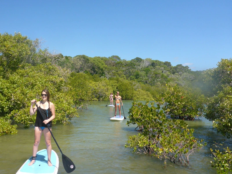 SUP durch die Mangroven