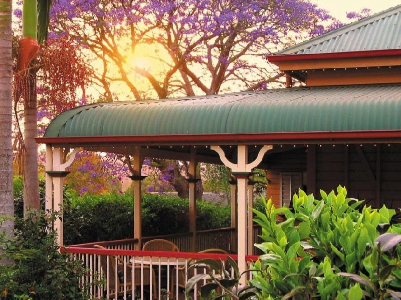 Terrasse umgeben von Pflanzen