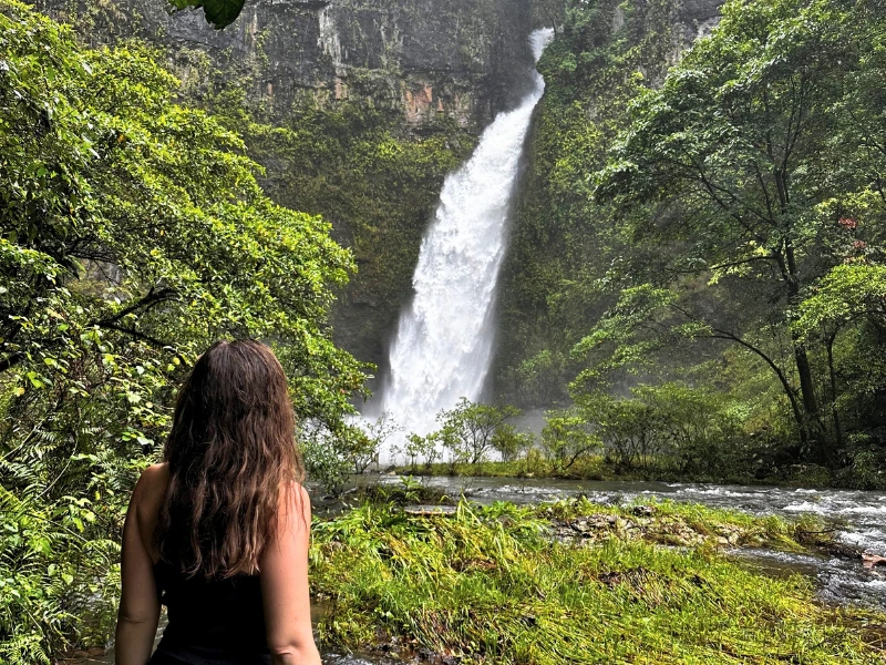 Atherton Tablelands Waterfall in Australien