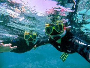 Unter Wasser am Great Barrier Reef