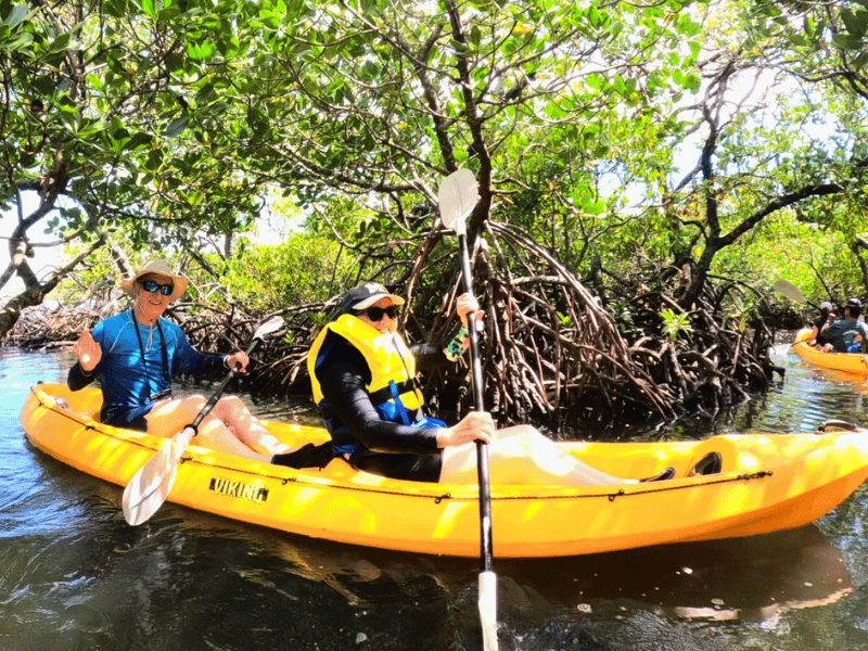 Kajaktour durch die Mangroven bei Noosa