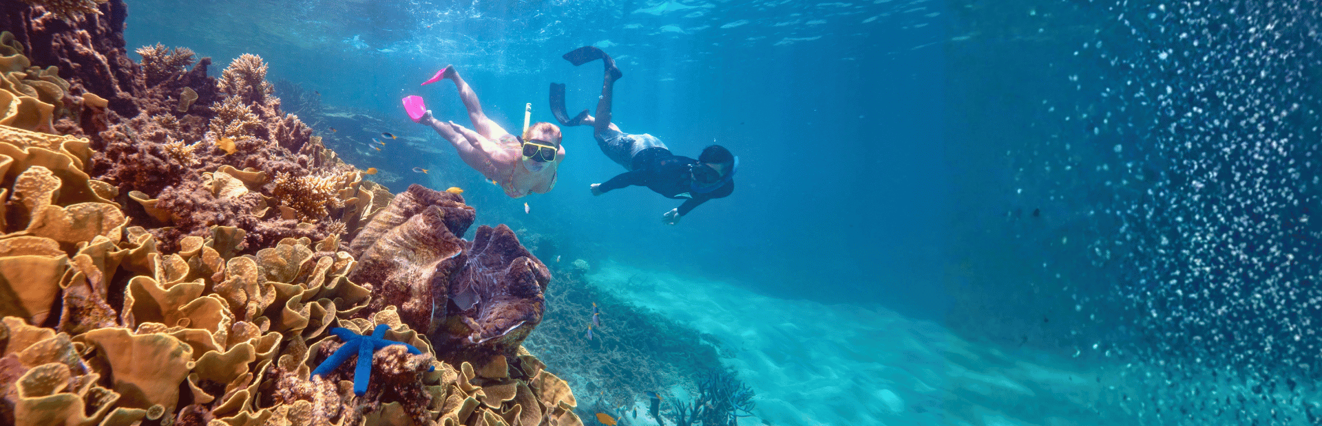 Schnorcheln am Great Barrier Reef