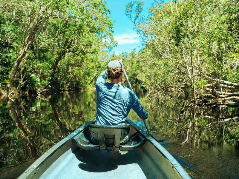Kanufahrerin in den Noosa Everglades
