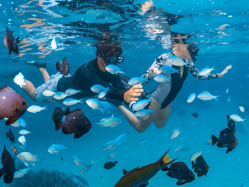 Schnorcheln am Ningaloo Reef, Australien Camping.