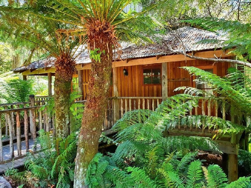 Außenansicht Cottage umgeben von Wald am Cradle Mountain, Tasmanien, Australien