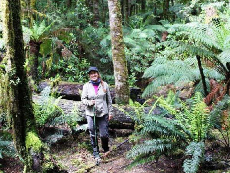 Wanderin im Wald bei einer Wanderung in Tasmanien