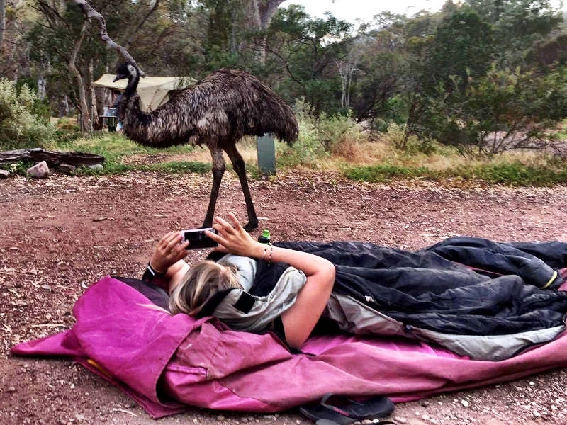 Person liegt im Schlafsack auf einer Campingtour in Australien