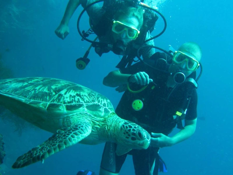 Paar beim Tauchen am Great Barrier Reef