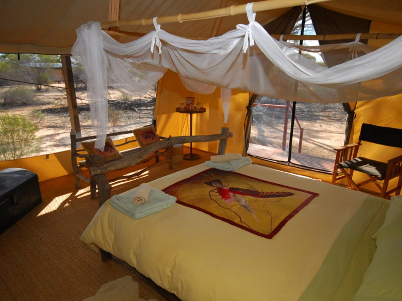 Luxus Zelt in den Gawler Ranges