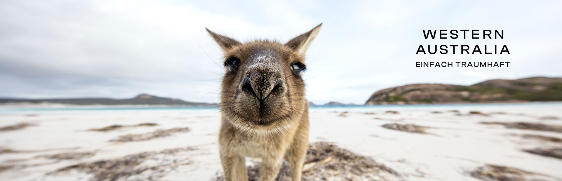 Westküste Australiens im Mietwagen erkunden | erlebe Australien