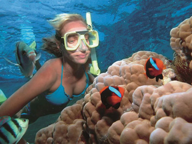 Snorkelen in het great barrier reef