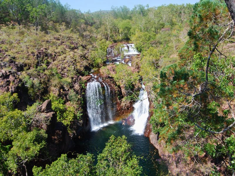 Florance Wasserall in Litchfield